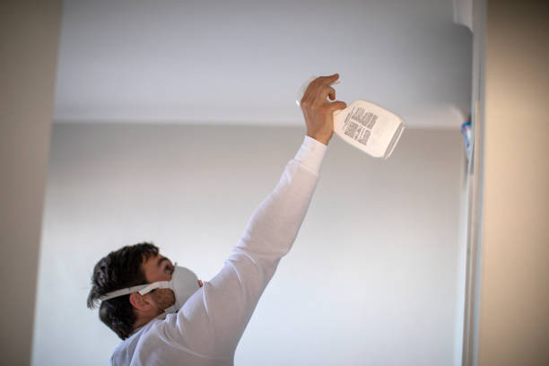 Best Fast Mold Removal  in Erie, PA