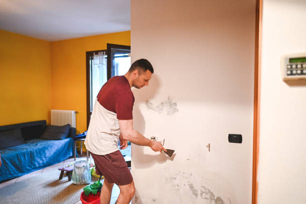 Best Affordable Mold Removal  in Erie, PA